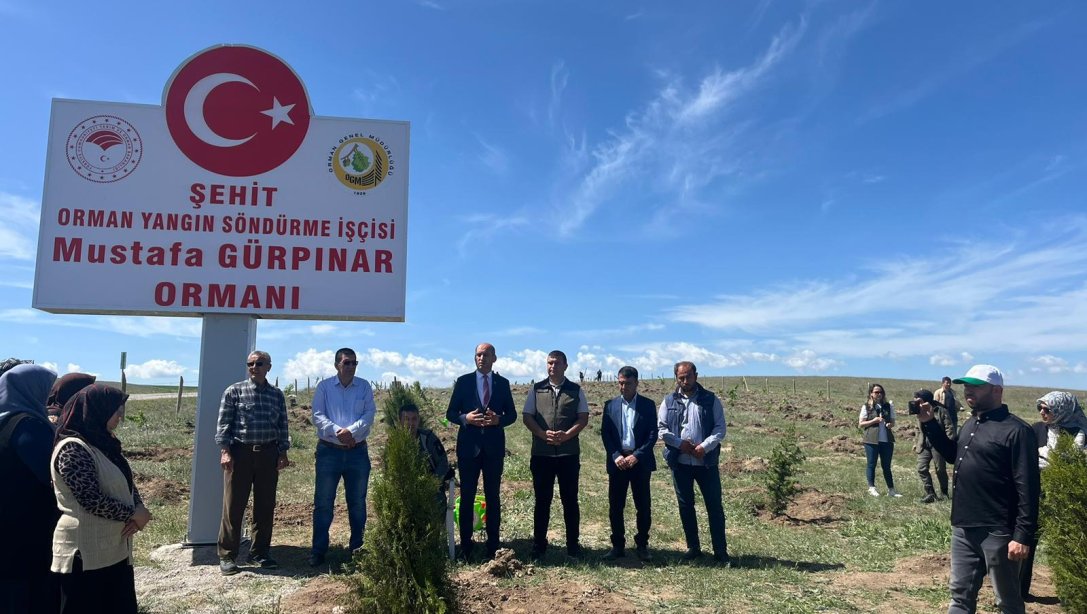 Şehit Mustafa GÜRPINAR Hatıra Ormanına Fidan Dikimi Etkinliği Gerçekleştirildi.
